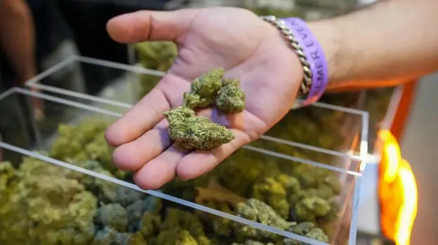 Trump amplía el acceso a la marihuana en el mayor cambio de la política de drogas de EE.UU. en décadas