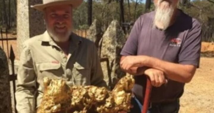 Hallaron la pepita de oro más grande del mundo, pero sus tataranietos pagaron la “maldición”