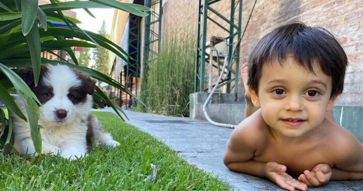 Por una rara enfermedad le trasplantaron el hígado y su mamá fue la donante