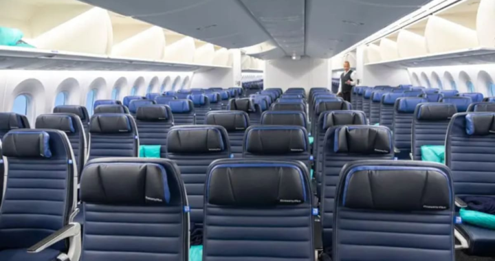 Asiento de avión peor para la piel