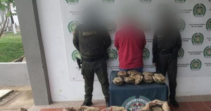 Capturan en flagrancia a alias ‘el Culebrero’ con más de 255 icoteas en Bolívar