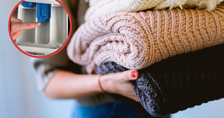 ¿Se puede lavar la ropa de lana en el lavarropas? Descubrí el método correcto para mantenerla intacta y suave
