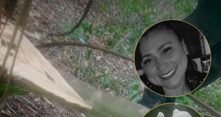 “Yulixa Toloza tenía heridas por arma blanca”: revelación de Medicina Legal