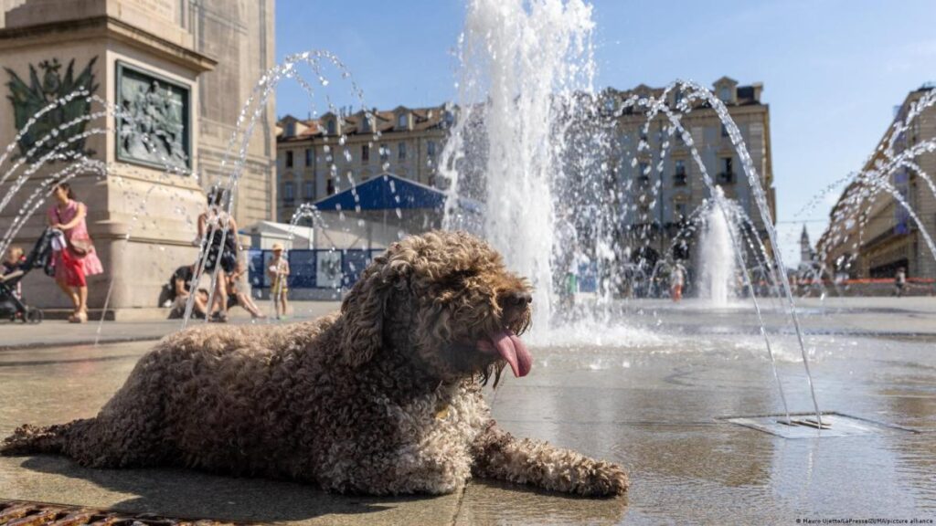 Auto bajo el sol intenso durante ola de calor en Francia con termómetro marcando 43°C