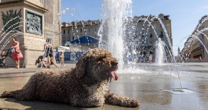 Ola de calor en Europa: dos niños muertos en Francia