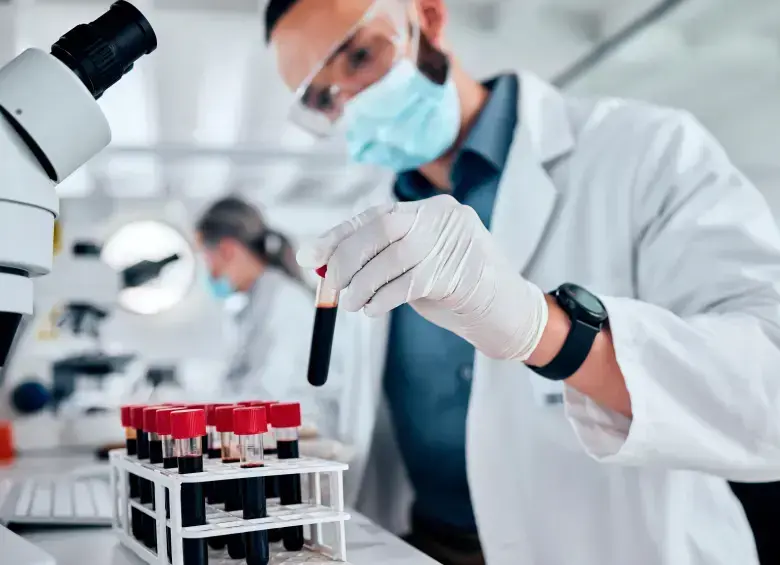 Células taNK atacando células cancerosas de pulmón en laboratorio
