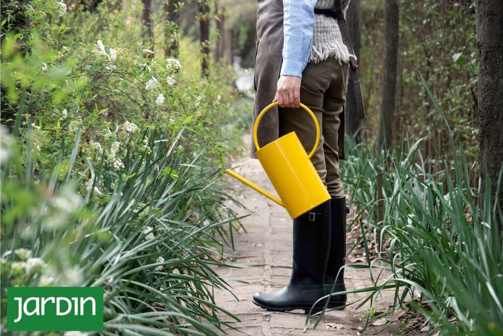 Jardinero podando arbustos en invierno con herramientas de jardinería