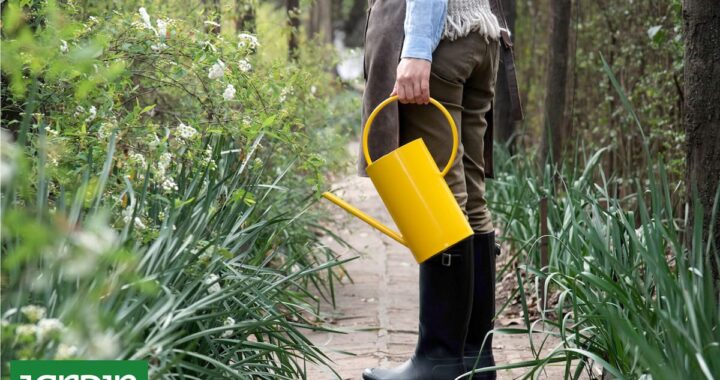 Invierno: el mejor momento para trabajar en el jardín