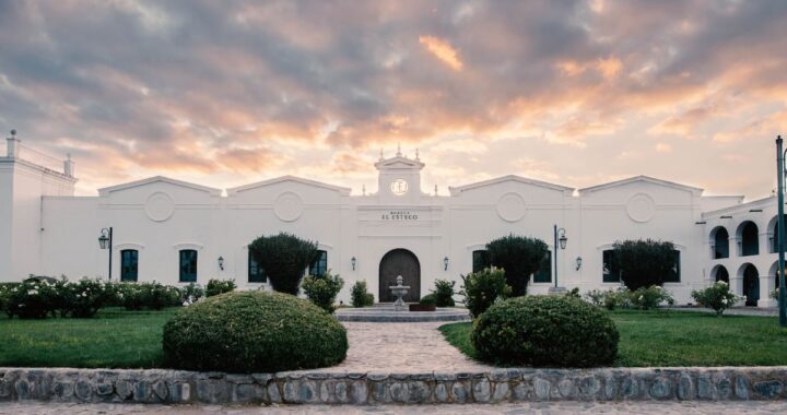 Un Chardonnay nacido a 2000 metros que conquista a la crítica internacional