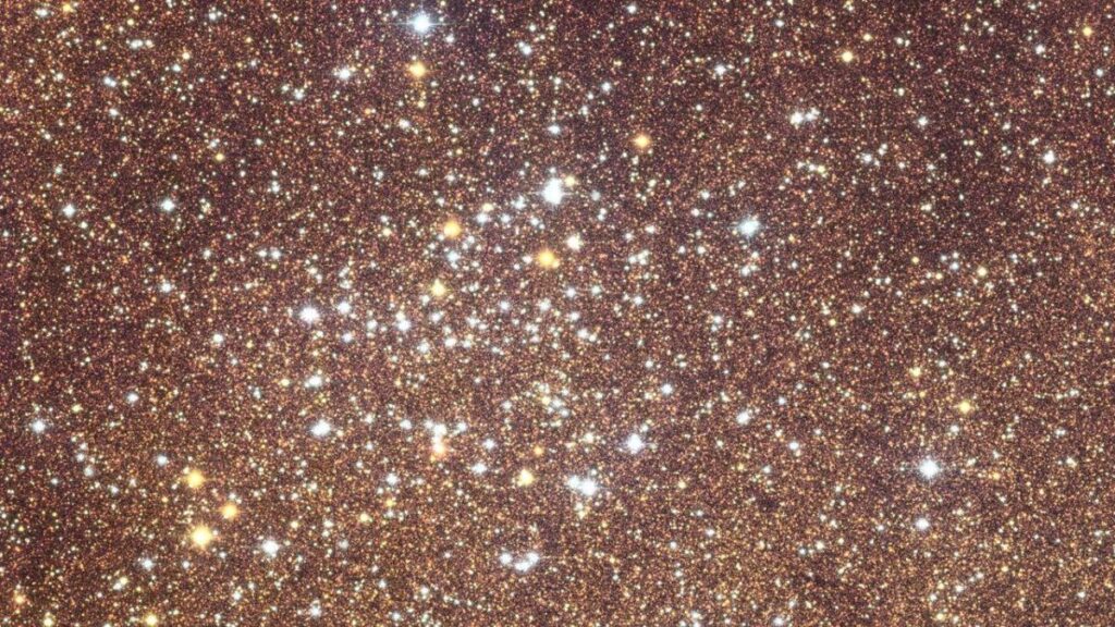 Imagen del bulbo galáctico con 60 millones de estrellas capturada por Euclid en luz visible