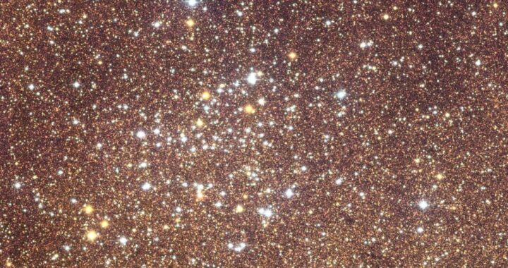 Euclid captura 60 millones de estrellas en la Via Lactea