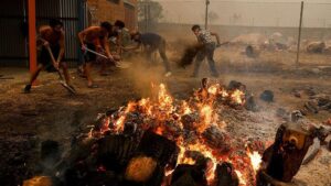 Los testimonios de los afectados por los devastadores incendios en España y Francia