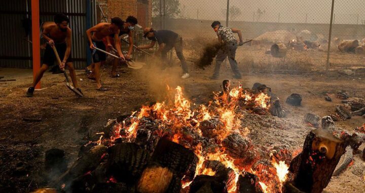 Los testimonios de los afectados por los devastadores incendios en España y Francia