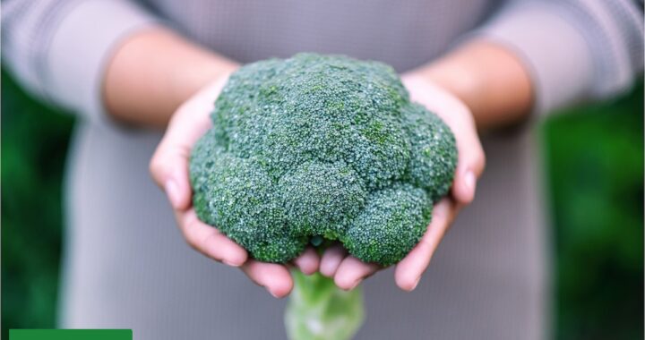 Por qué las verduras de invierno son consideradas aliadas naturales de la salud