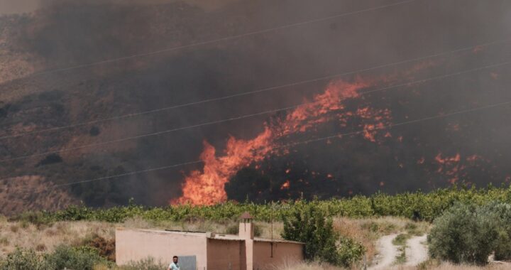 Incendios en España dejan muertos y desaparecidos: el fuego arrasa miles de hectáreas